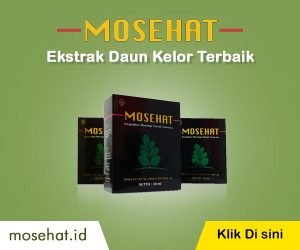 oolasan.com moseha2 pada Solusi Sehat dengan Obat Asam Urat MOSEHAT oleh oolasan.com